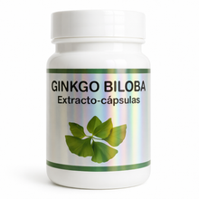 GINKGO BILOBA EXTRACTO - CÁPSULAS 1200 MG